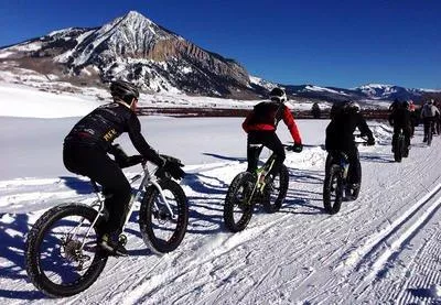 Fat bike