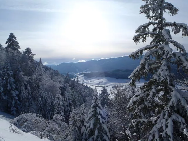 Raquettes Vercors