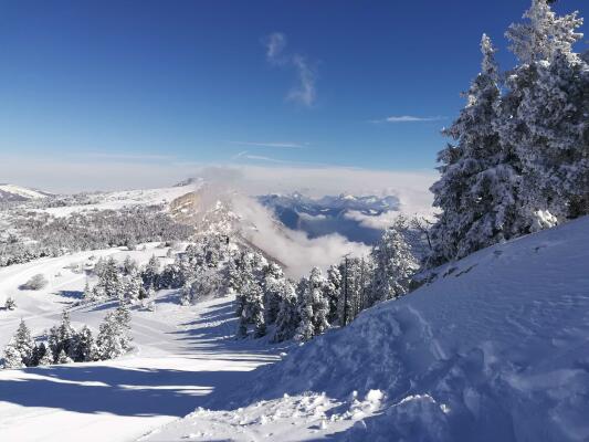Raquettes Lans en Vercors