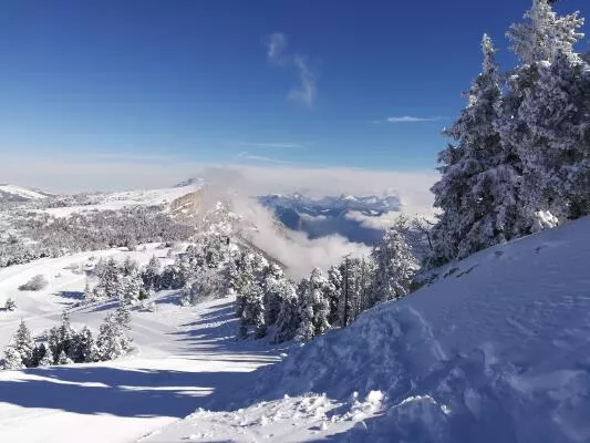 Raquettes Lans en Vercors